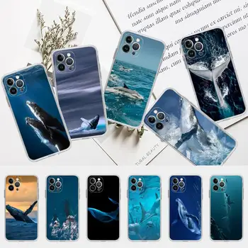 Ocean Žralok Veľrybí Plávanie Telefón Prípade Silikónové Mäkké pre iphone 14 13 12 11 Pro Mini XS MAX 8 7 6 X Plus XS XR Kryt